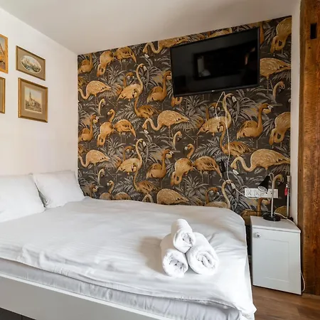 Rentplanet - Rynek Ratusz * فروتسواف